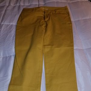 Crop Pant